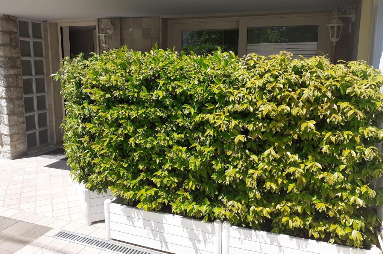 Minzoni94 - Twobedroom+Garden Lido di Camaiore Eksteriør bilde