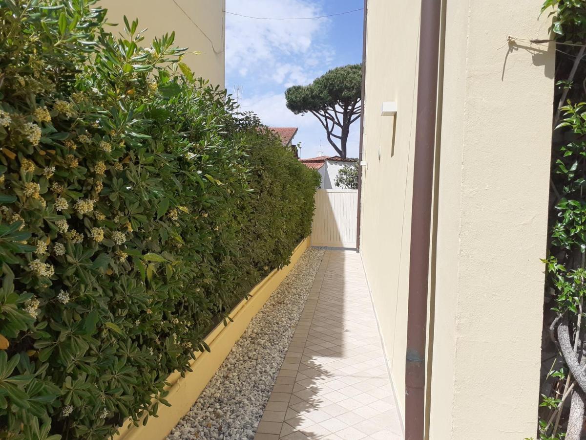 Minzoni94 - Twobedroom+Garden Lido di Camaiore Eksteriør bilde